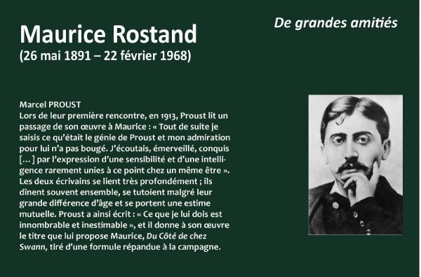 Détail de la rencontre entre Maurice Rostand et Marcel Proust