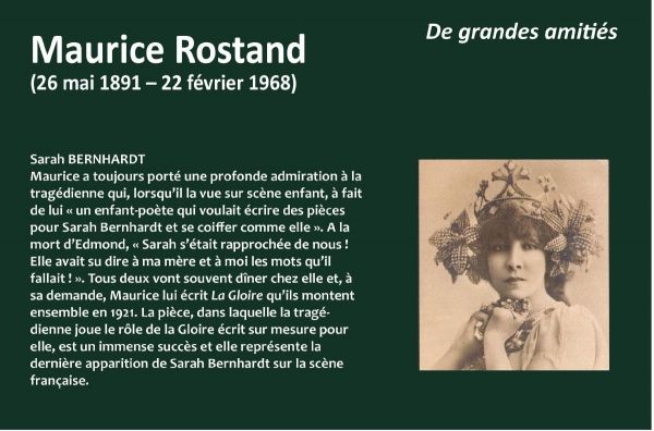 Détail de la rencontre entre Maurice Rostand et Sarah Bernhardt